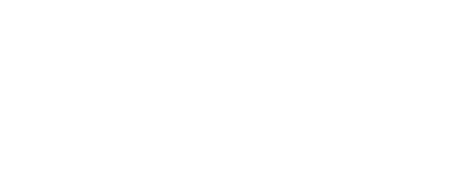 Leonardo Velloso Advocacia